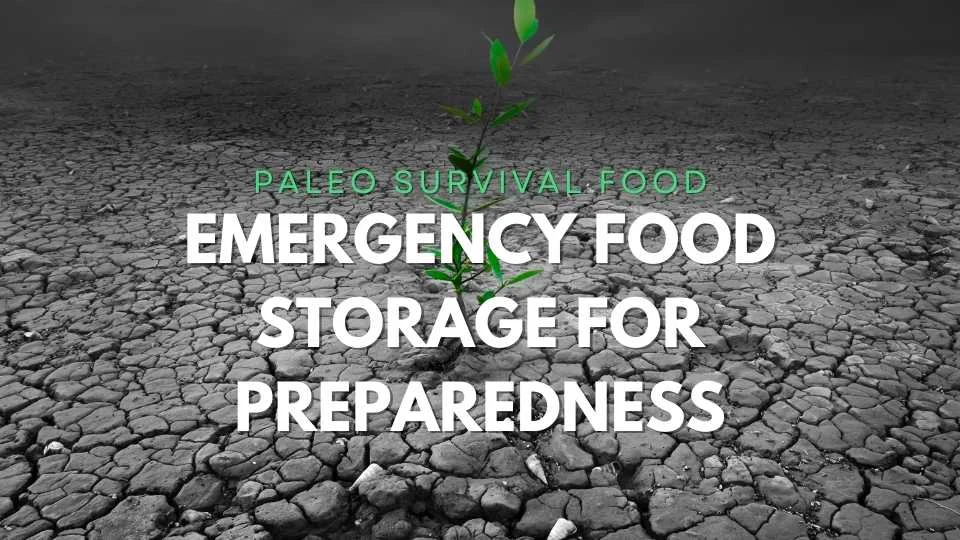 Paleo Survival Food