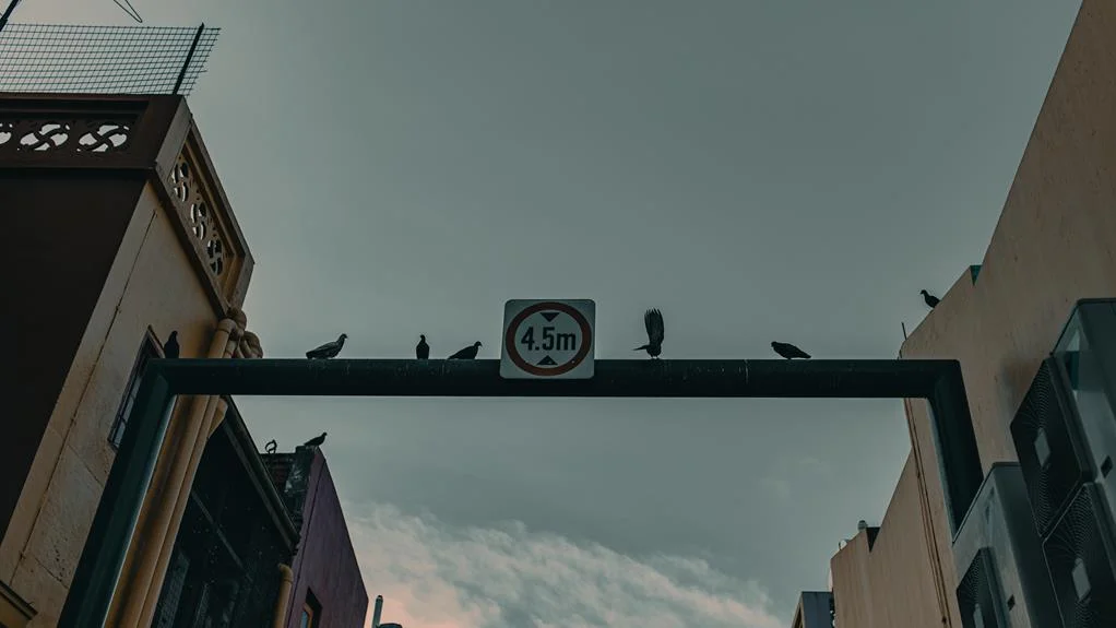 safe spots during unrest